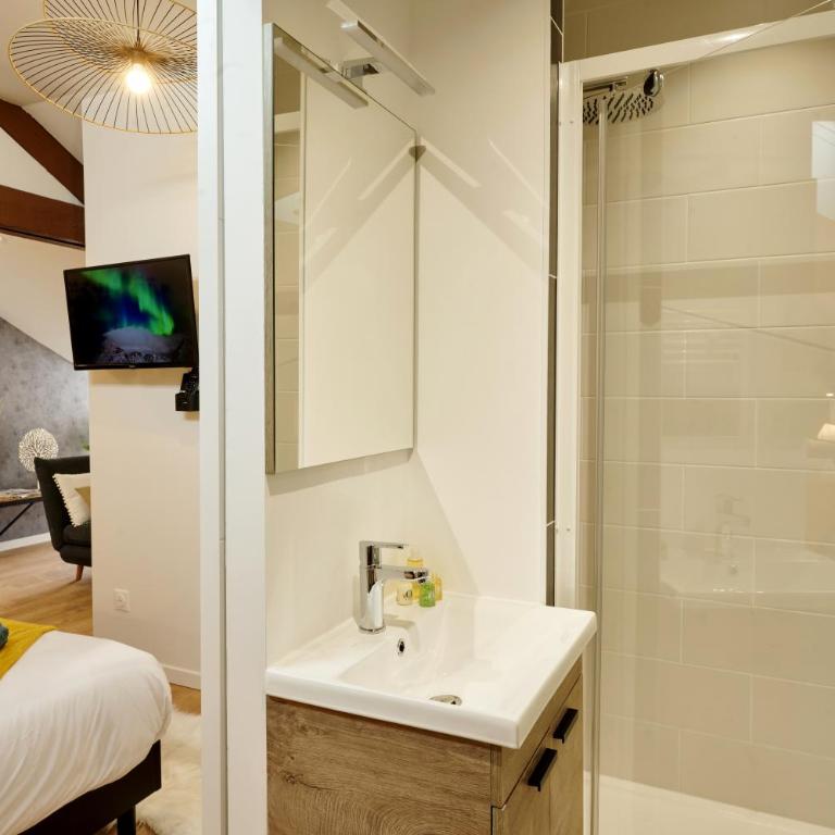 Appart-hôtel de standing avec jacuzzi privatisable en option - Appartement 1 Chambre - 8