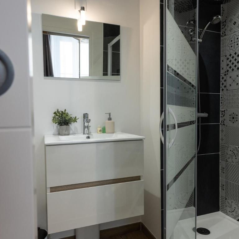 Appart-hôtel de standing avec jacuzzi privatisable en option - Hébergement Noir et Blanc - 24