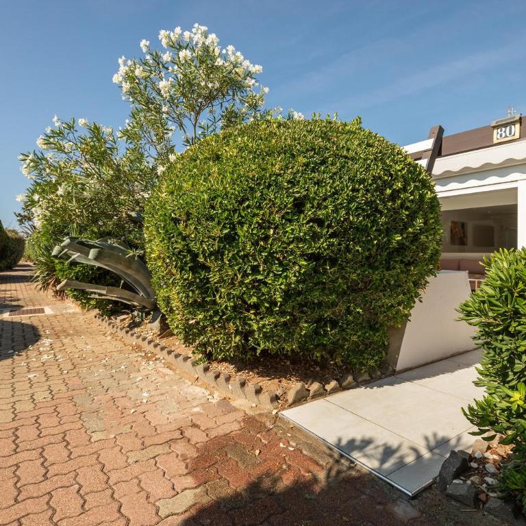 Villa gypsea luxe - terrasse - parking - Port Nature - Village Naturiste - Villa mit 1 Schlafzimmer - 19