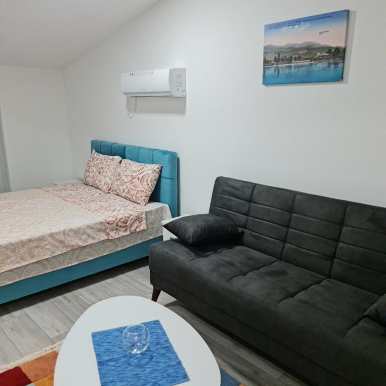 Studio apartmani Banja Koviljaca - Studio - 3