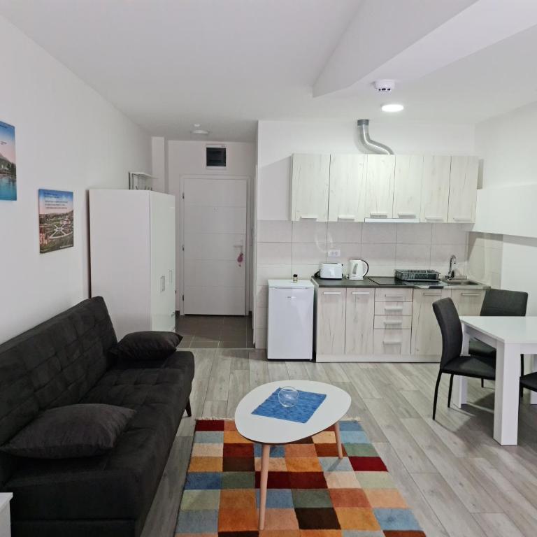 Studio apartmani Banja Koviljaca - Studio - 4
