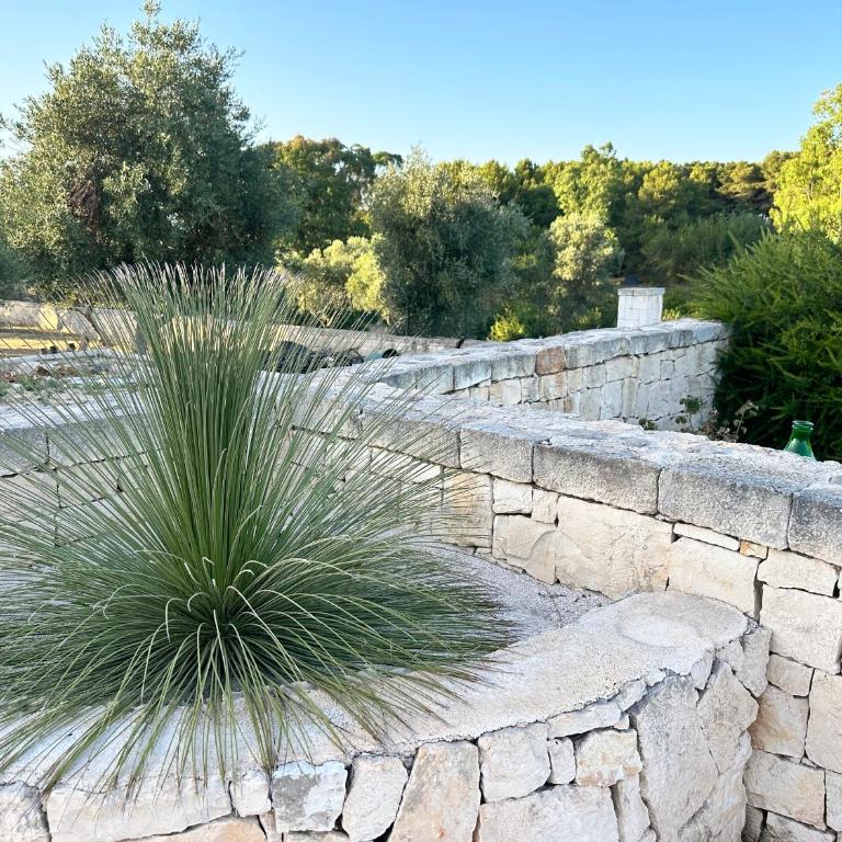 Villa Magis - Villa - 12