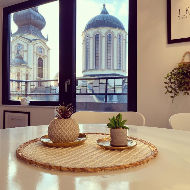 Sarajevo Skyline Apartment - Apartman sa 1 Spavaćom Sobom - 38