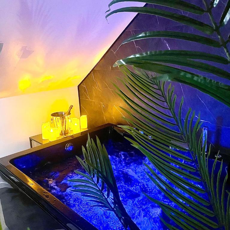 Saphir Spa - Sauna Balnéo Chromothérapie Massage - Apartamento de 1 dormitorio - 32