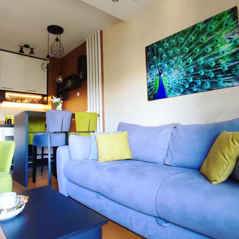 BalkanHill2 S37 Pekovic green - Apartman sa 1 Spavaćom Sobom - 45