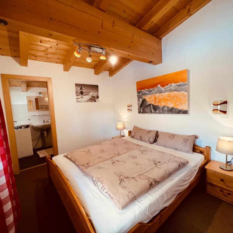 Ferienhaus Zillertal Panorama Blick Balkon Sauna - Apartment mit 3 Schlafzimmern - 25