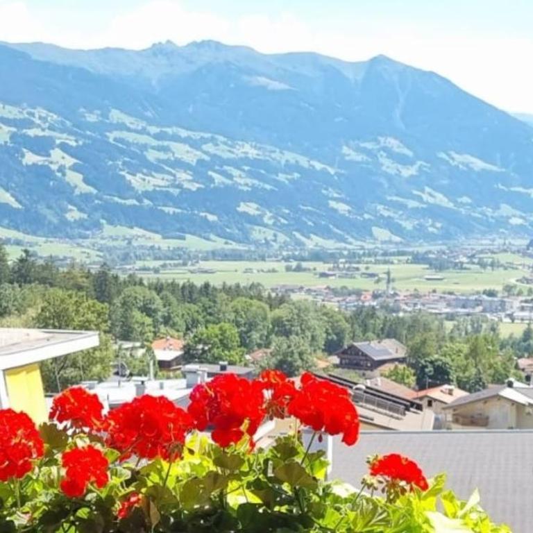 Panorama - Apartment mit Dusche - 2