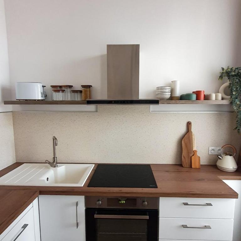 Appartement au calme T3 RDC - Quartier de France - Appartement 2 Chambres - 12