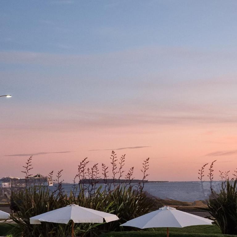 36 park - Apartamento de 2 dormitorios - 30