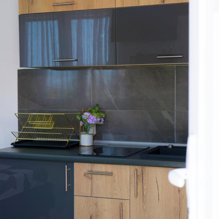 Luxury Apartment Milićević 2 - Apartman sa 1 Spavaćom Sobom - 14