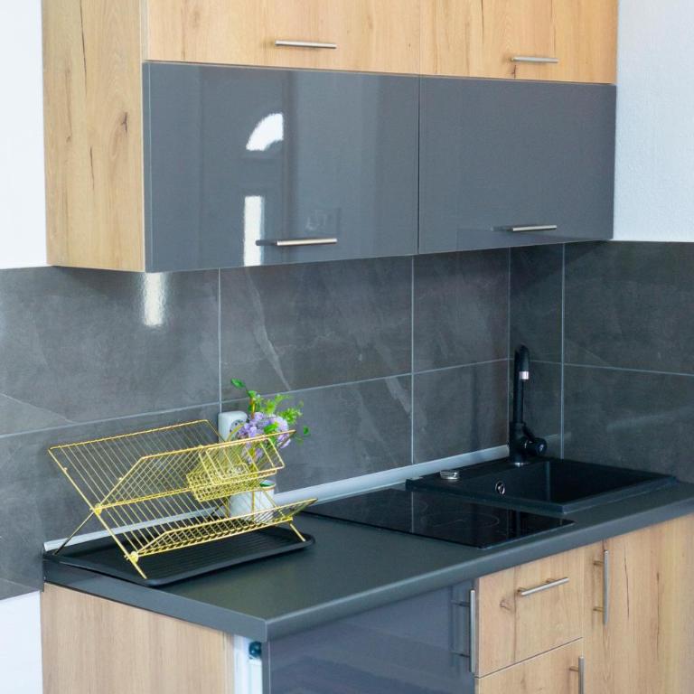 Luxury Apartment Milićević 2 - Apartman sa 1 Spavaćom Sobom - 54