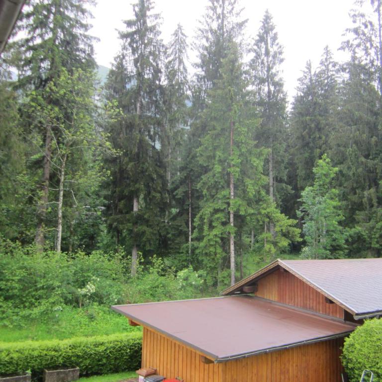Apartmenthaus Kestel Gasthof - Apartment mit Balkon - 9