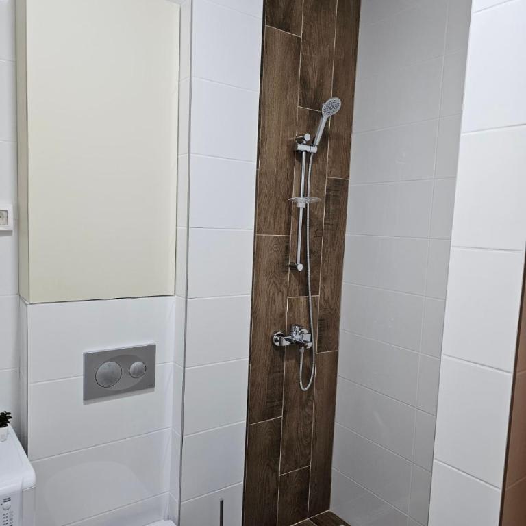 Pine Kolasin - Apartman sa 1 Spavaćom Sobom - 11