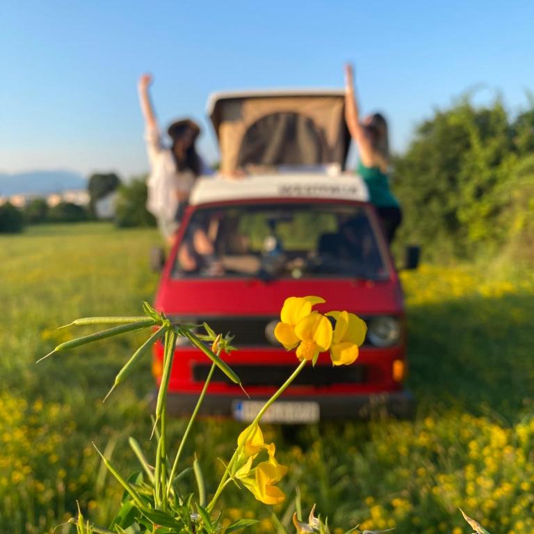 Mobile home - Alpha Campers Montenegro - Our Red Westfalia Bus - Mobile Home - 9