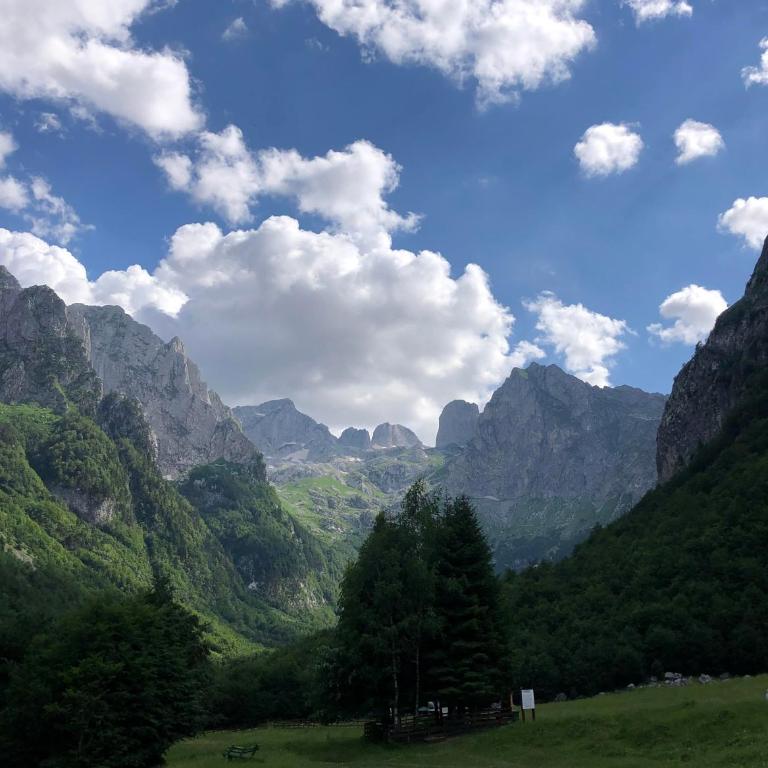 Mobile home - Alpha Campers Montenegro - Our Red Westfalia Bus - Mobile Home - 24