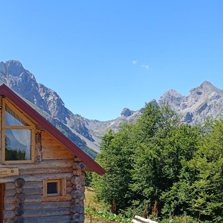 Komovi - Montenegrina Mountain house - Kuća sa 1 Spavaćom Sobom - 4