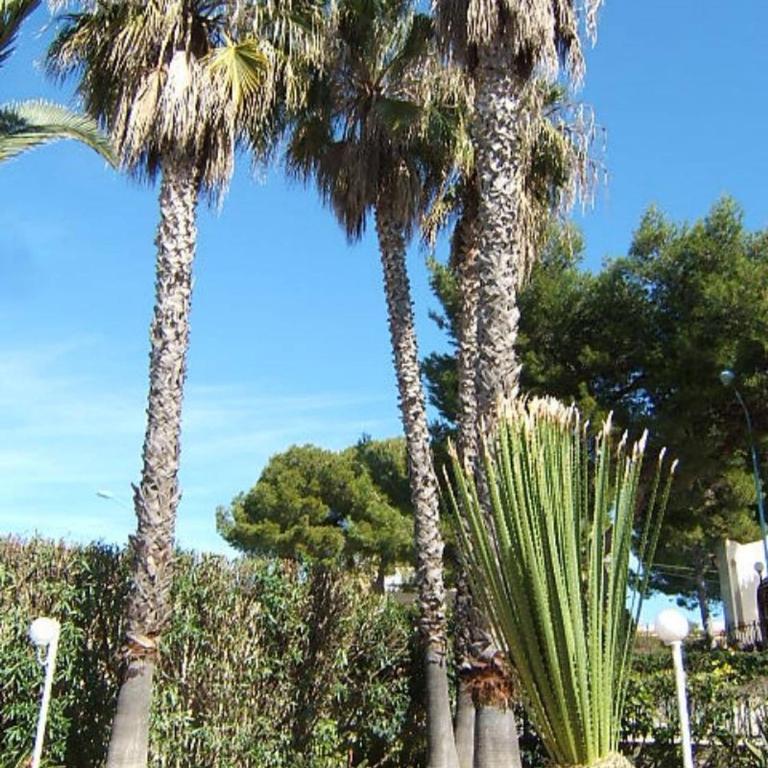 Apartment in villa with swimming pool 20 meters from the sea - Appartamento - 13