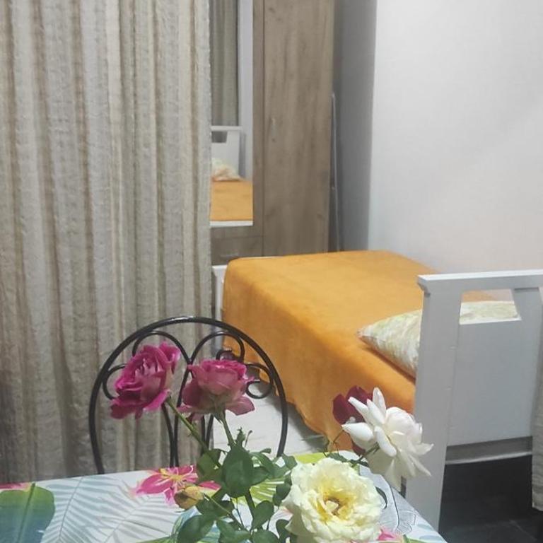 LENA Apartman 45m2 Sokobanja-CENTAR - Apartman sa 2 Spavaće Sobe - 4
