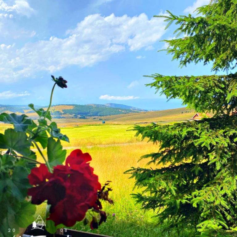 Vila Tornik - Two-Bedroom Chalet - 4