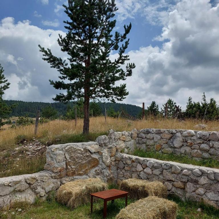 Mountain Peace Cottage - Three-Bedroom House - 19