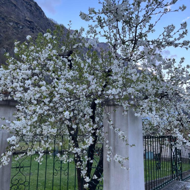 L'aria di Casa - Camera Familiare - 15