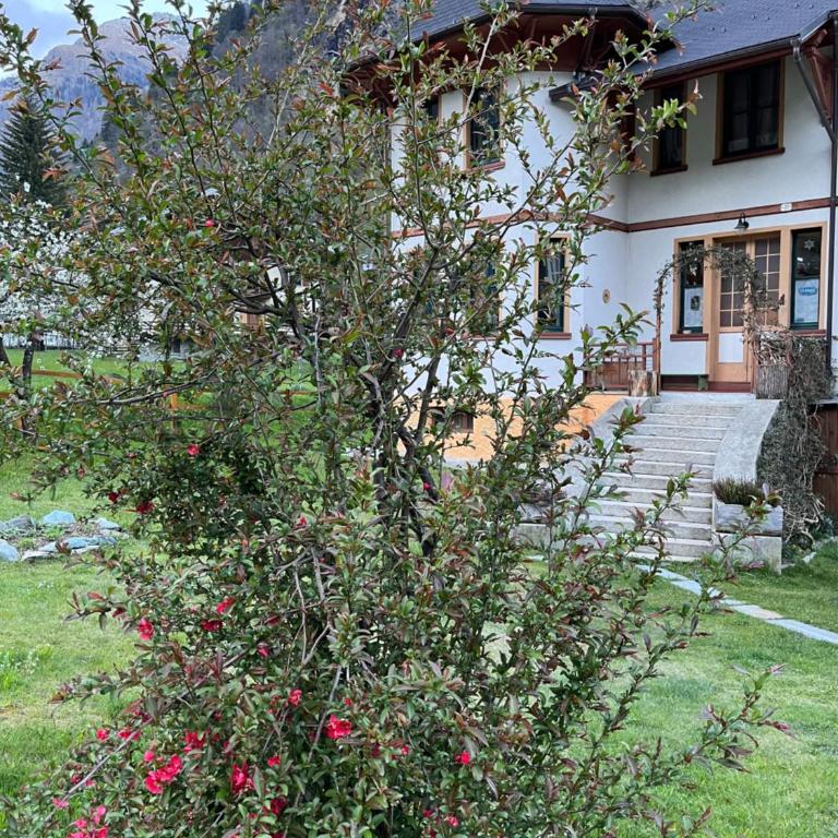 L'aria di Casa - Camera Matrimoniale/Doppia con Letti Singoli con Bagno in Comune - 14