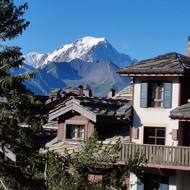 Grande Marmotte, Ski aux pieds, Le Refuge du Montagnard, Arc 1950 - Apartment mit 2 Schlafzimmern - 21