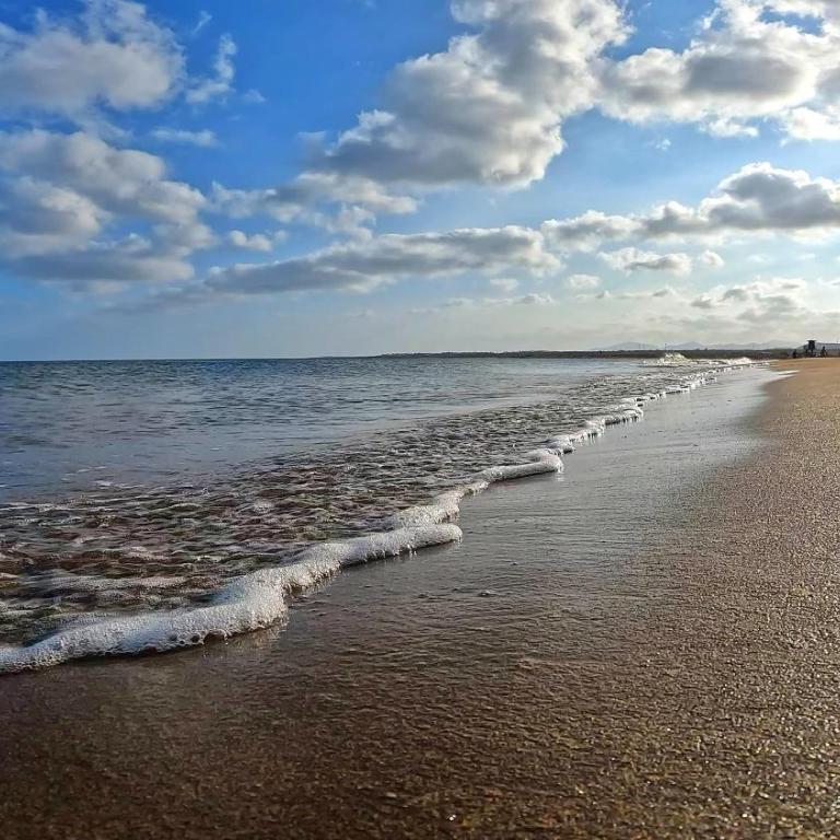 Apartamento Tierra, Primera línea Mar - Apartamento de 2 dormitorios - 22