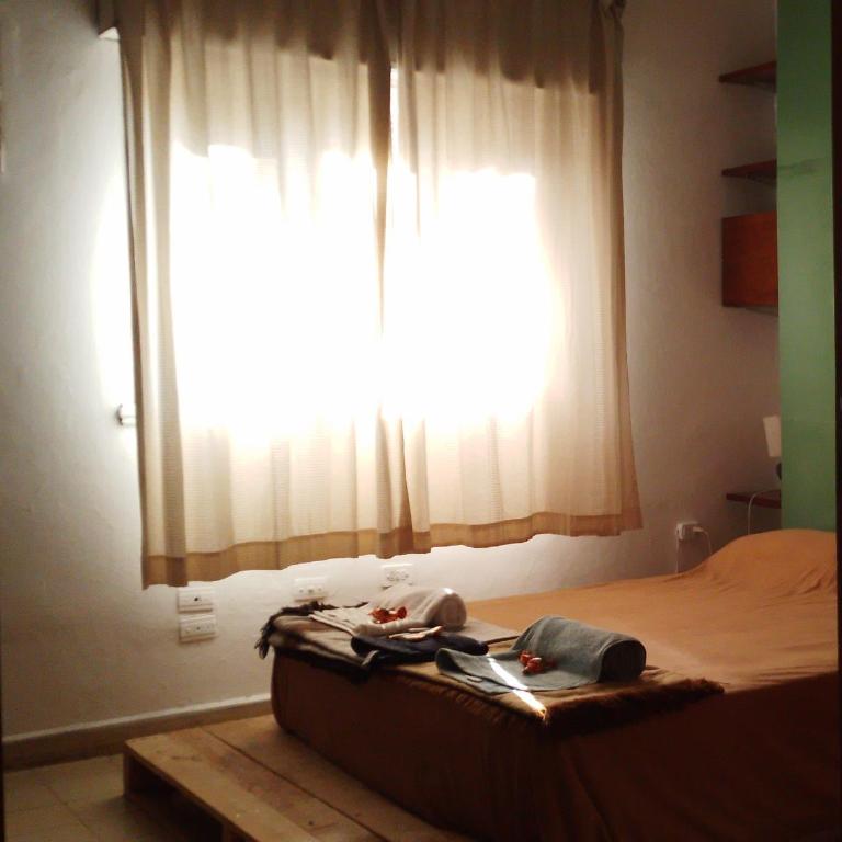 El Estudio - Apartamento de 1 dormitorio - 3