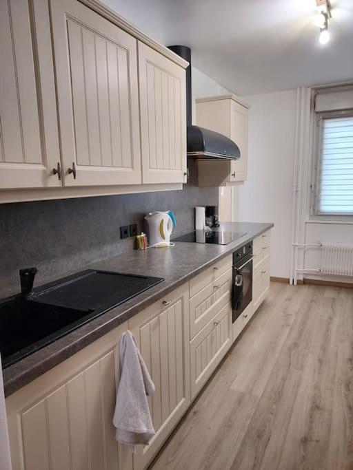 Grand appartement 2 chambres Calme Parking - Apartment mit 2 Schlafzimmern - 20