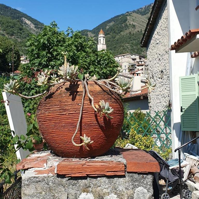 La Tiniera à Lucéram - Maison rénovée 2023- Terrasse - Wifi - Village des crèches - Maison 1 Chambre - 17