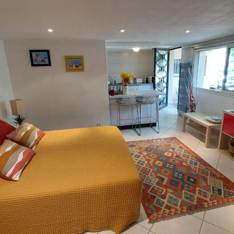 studio indépendant près du centre ville - Double Room with Garden View - 5