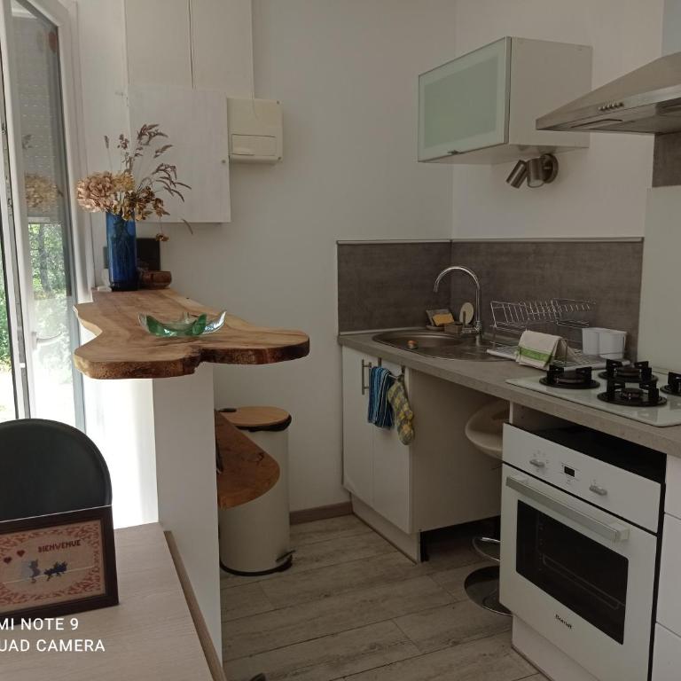 Quietude - Apartamento de 1 dormitorio - 2