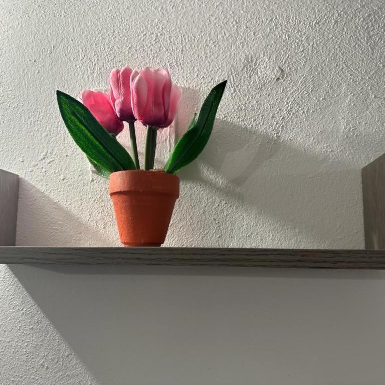 PAPIRETO'S HOME - Appartamento Standard - 8