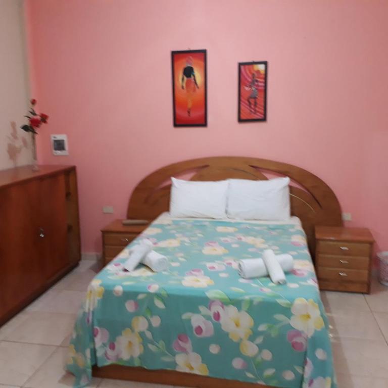 Palmas Park Hotel y Restaurant - Habitación Doble Económica - 2