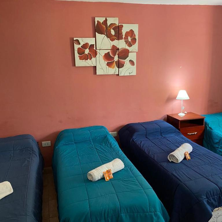 El Portal de Cerrillos, Hostería de Campo - Habitación Cuádruple - vistas al jardín - 2