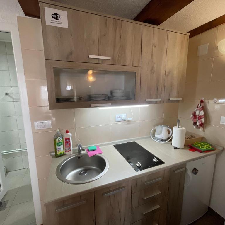 Zabljak studio apartment 1 - Studio Apartment - 7