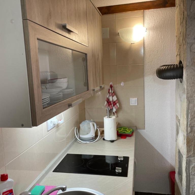Zabljak studio apartment 1 - Studio Apartment - 8