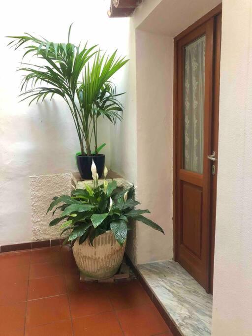 Via della Campana 17 - Casa con 2 Camere da Letto - 17