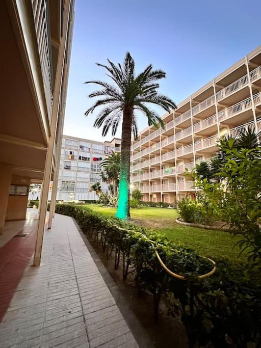A pie de PLAYA - One-Bedroom Apartment - 11