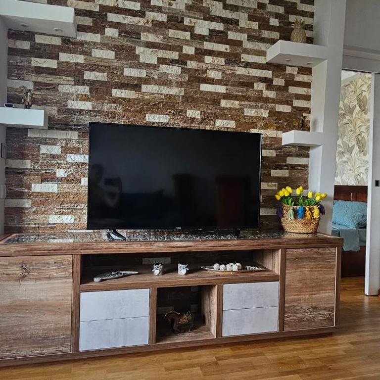 Vrnjački Lux free parking GARAGE - Apartman sa 1 Spavaćom Sobom - 5