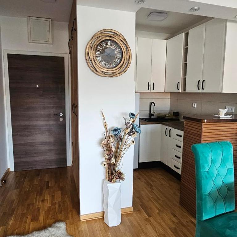 Vrnjački Lux free parking GARAGE - Apartman sa 1 Spavaćom Sobom - 11