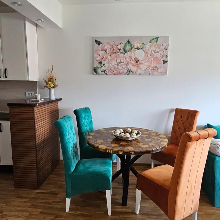 Vrnjački Lux free parking GARAGE - Apartman sa 1 Spavaćom Sobom - 12