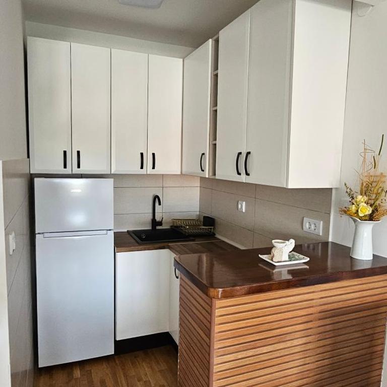 Vrnjački Lux free parking GARAGE - Apartman sa 1 Spavaćom Sobom - 18