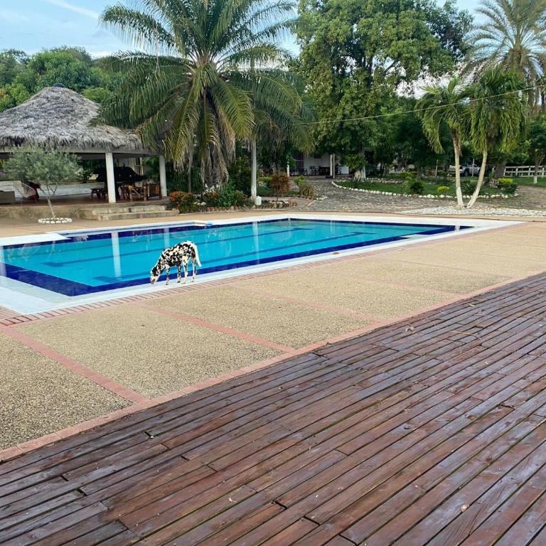 Finca Diamante Tahití - Villa - 27