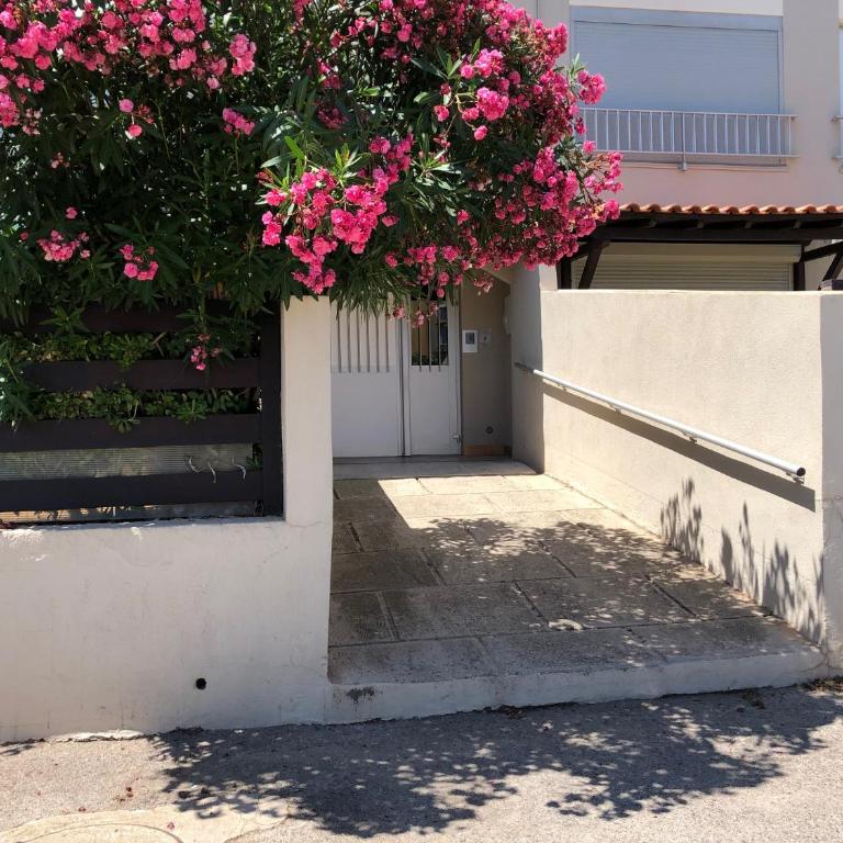C12 Deluxe - Apartamento Deluxe - 65