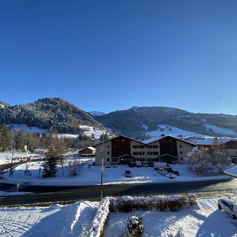 Appartement de Charme avec Cheminée à Praz sur Arly - 2 Chambres, Balcon, Proche Ski et Centre - Appartement 2 Chambres - 19