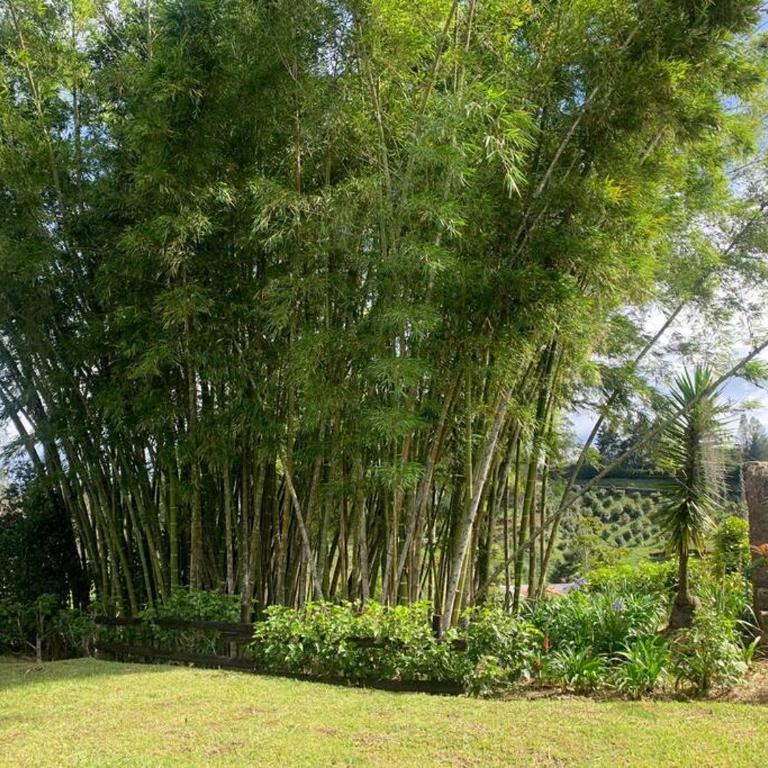 Hermosa casa de campo en ambiente tranquilo. - Casa de 5 dormitorios - 35