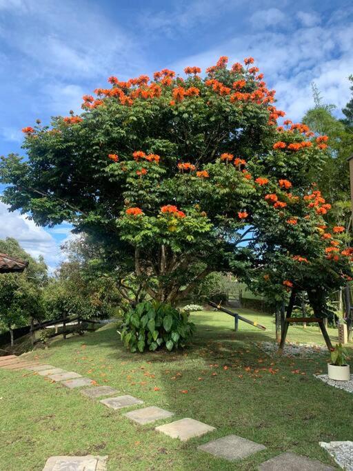 Hermosa casa de campo en ambiente tranquilo. - Five-Bedroom House - 51