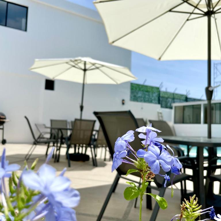 Apartamento con hermosa vista - Apartamento de 2 dormitorios - 38